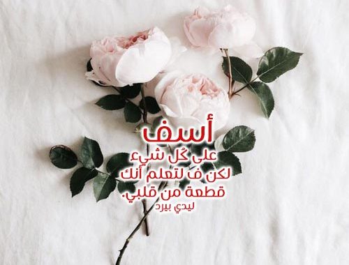 رسالة اعتذار 920 2