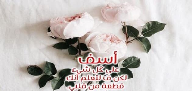 رسائل اعتذار 3441