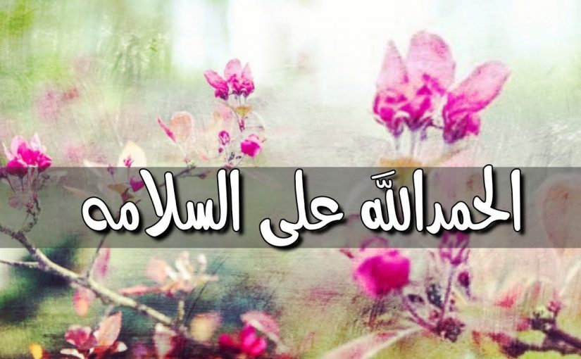 عبارات الحمدلله على السلامه - كلمات معبرة عن التحيه 12117 4