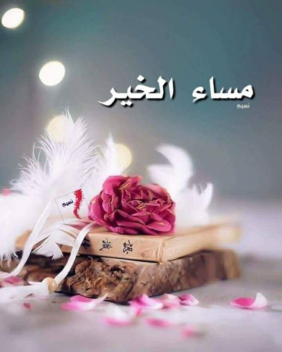 صور عن الاخت 332 3