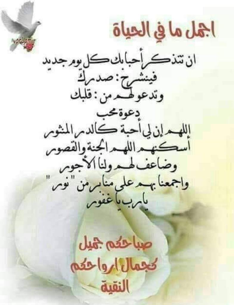 همسة صباحية 2006 5