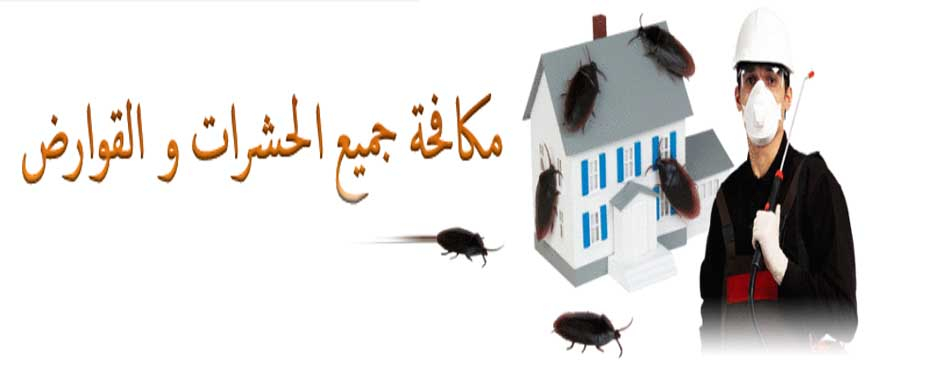 شركة مكافحة حشرات بينبع - افضل شركة للقضاء على الحشرات 6518 3