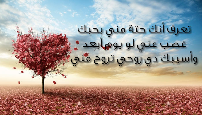 رسائل عشق وغرام 682 9