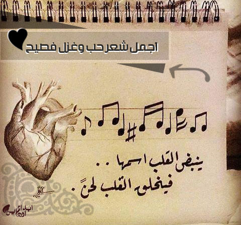 شعر غزل فصيح-قصيدة رائعه لمدح الحبيب والحبيبه 2258 9