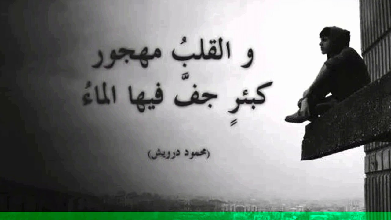 هذا ليس صديق انظر مافعل -شعر عن صديق 3189 6