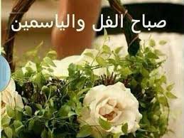 صور صباح الفل 1729 10