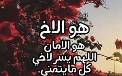 شعر عن الاخ الحنون 828 11