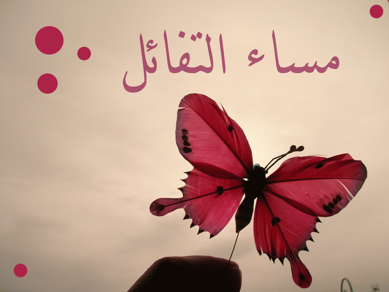 صور صباح الخير ومساء الخير- احلى الصور الصباحية والمسائية 2542