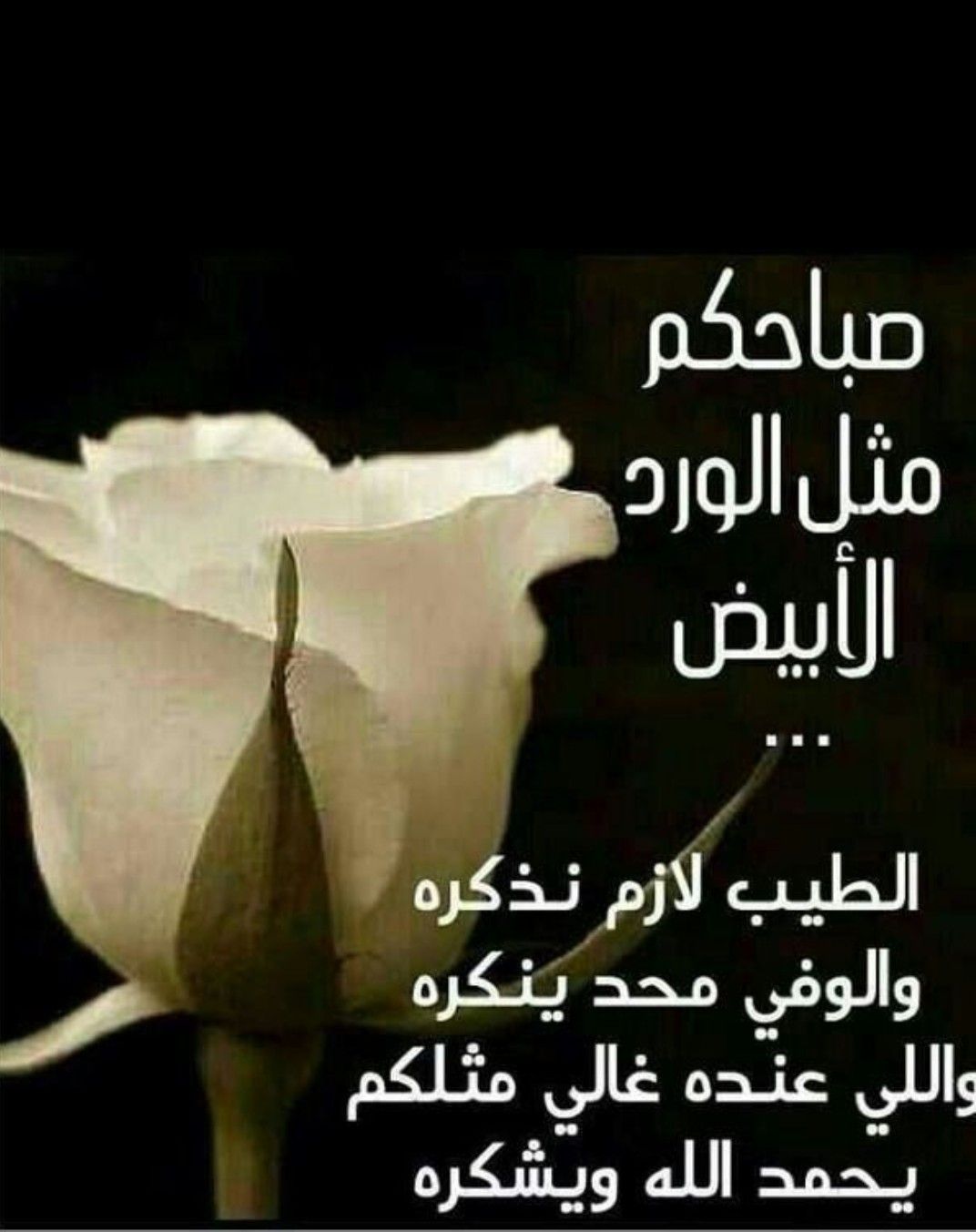 شعر صباح الخير - اجمل كلمات الصباح 2628 11