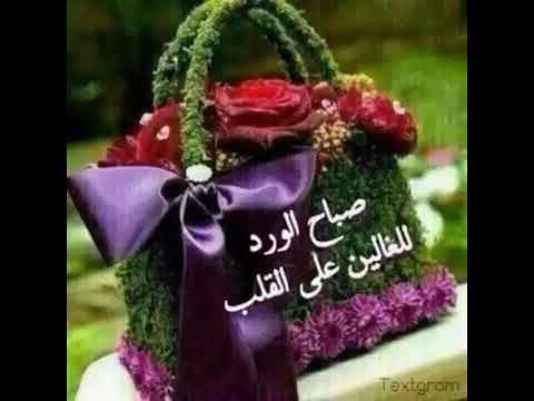 صور صباح للحبيب 983 3