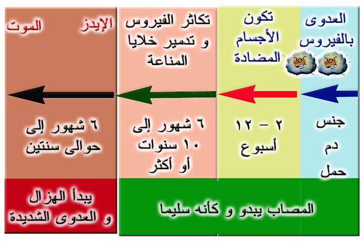 علاج مرض الايدز , شاهد افضل علاج للسيطرة علي مرض الايدز