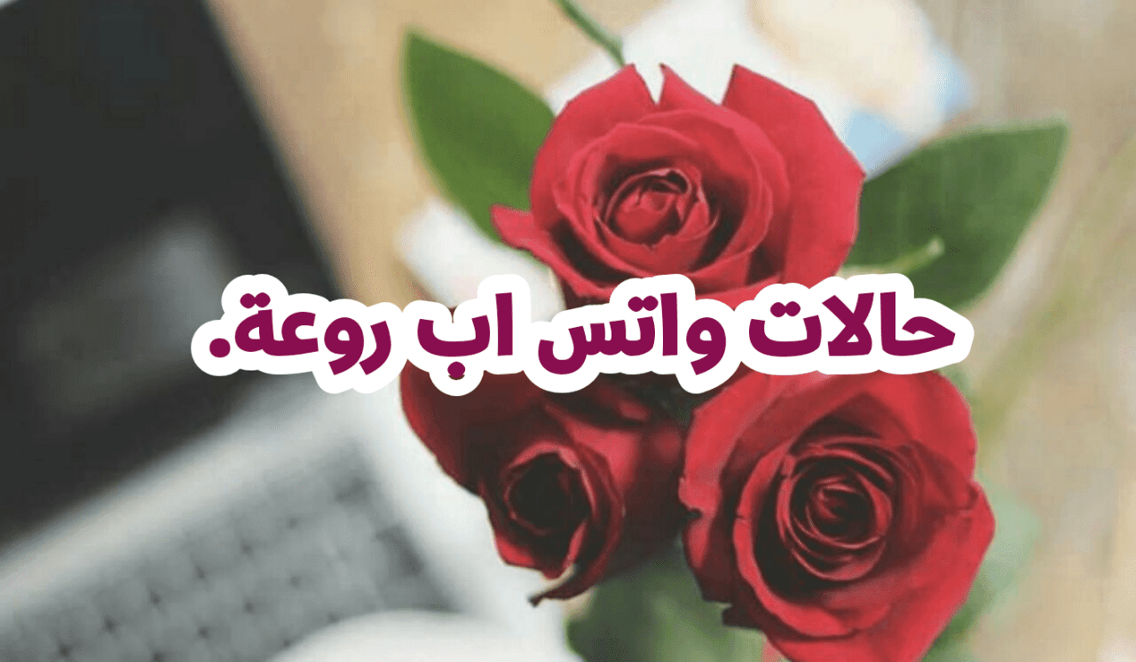 حالات واتس اب روعه- صور ورمزيات وبوستات جديده ومختلفه 2292