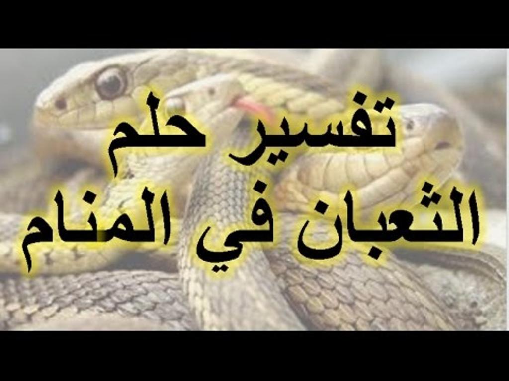 تفسير الثعبان في المنام 2125