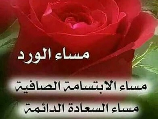 صور مساء الورد