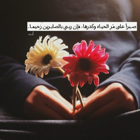 صور حلوه صور حلوه 2218 7