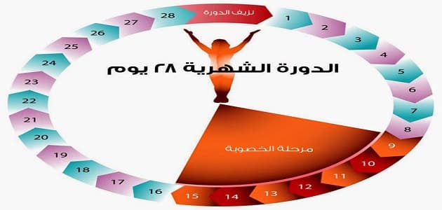 بعد كام يوم من الاجهاض يحدث حمل , موعد حدوث الحمل