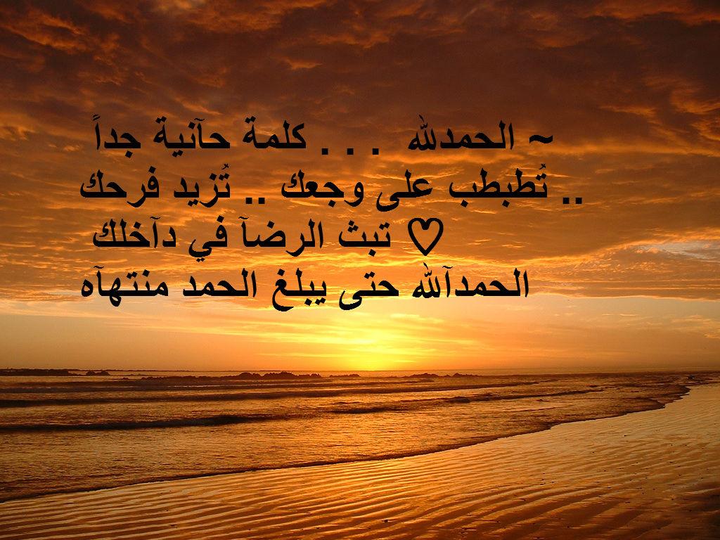 صور عرض حلوه 2136 5