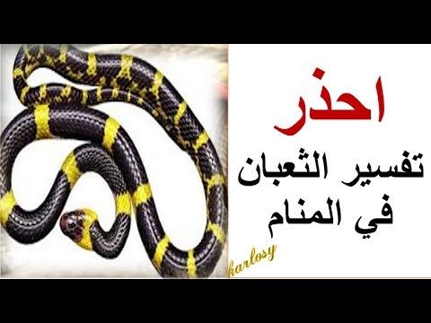 تفسير الثعبان في المنام 2125 1