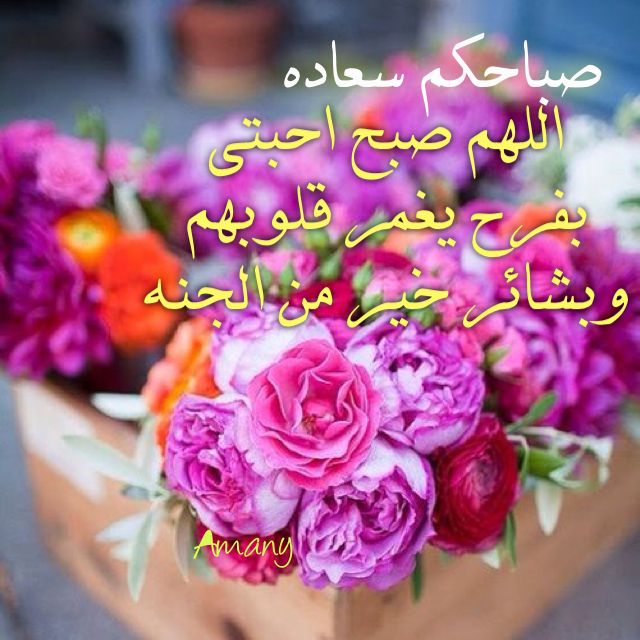 صباح خير - اجمل صباح 1353