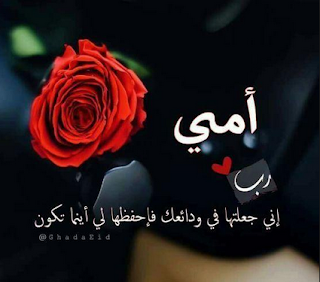 صور حلوه وجميله 1822