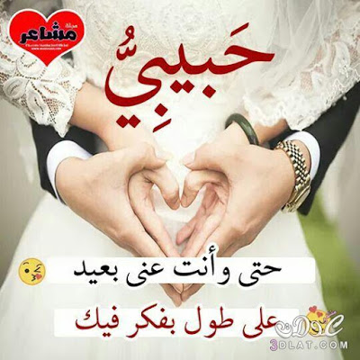 صور حلوه صور حلوه 2218 5