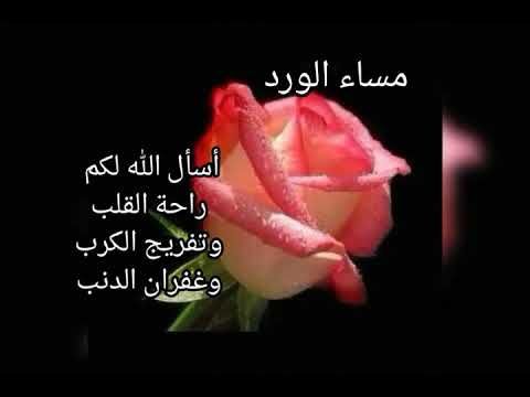 دعاء مساء الخير - أدعية مسائية 2703 11