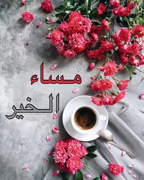 صور لمساء الخير - رمزيات مسائية تجنن