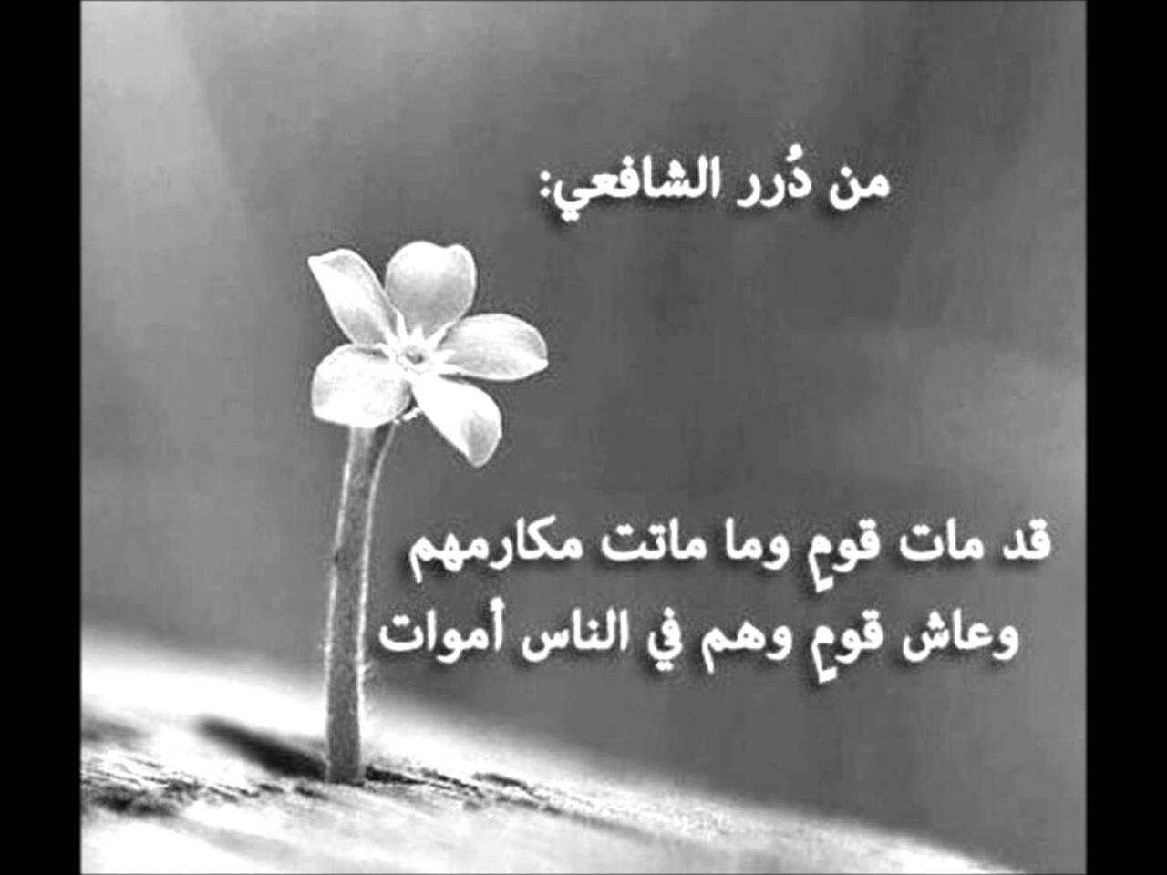 ابيات شعر قصيره حكم 2349 2