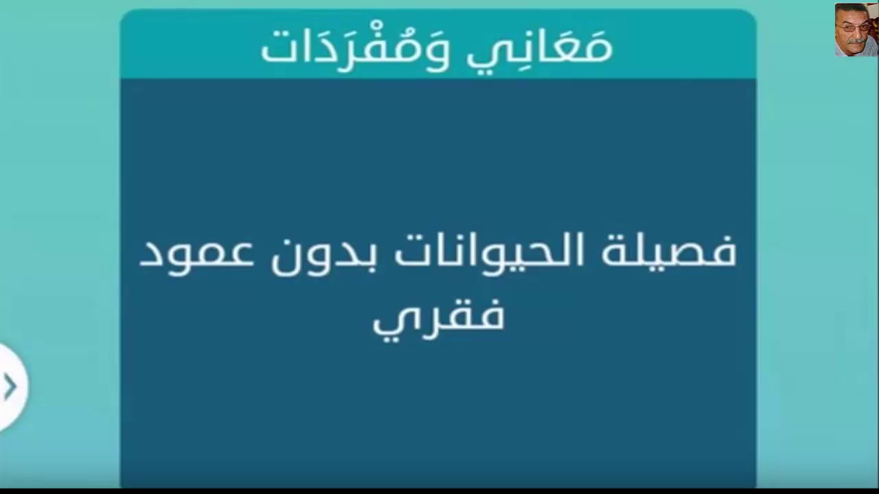 فصيلة الحيوانات بدون العمود الفقري- هتستغرب جدا لما تعرفهم 6233