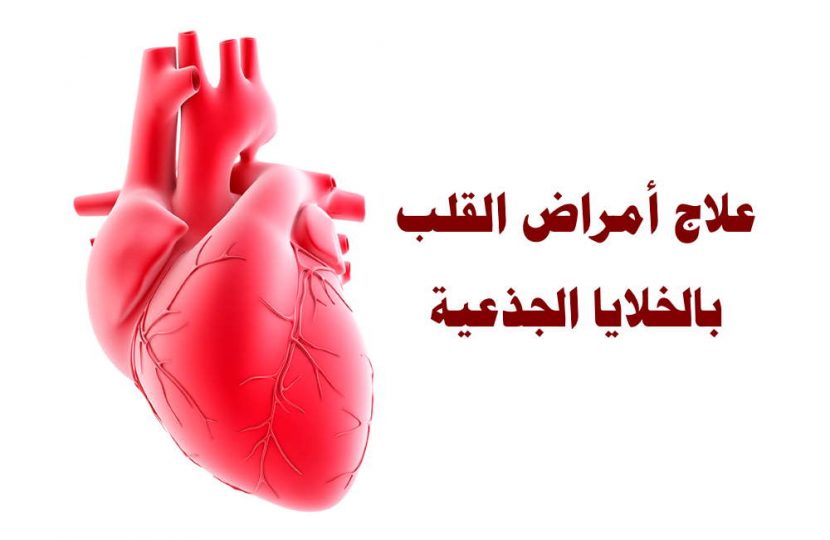 علاج مرض القلب - تعرف علي حماية القلب وعلاجه 2655 1