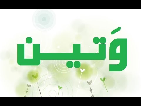 معنى وتين , مامعني كلمة وتين