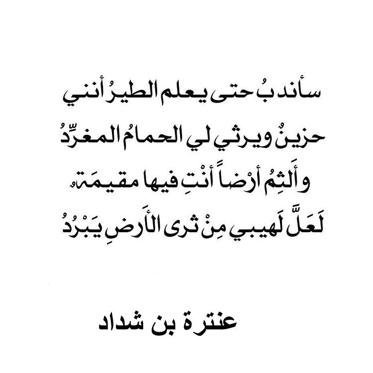 شعر عن الاب بالفصحى - ابيات مهمه جدا لهذا الشخص الكبير في عيوننا 3610 5