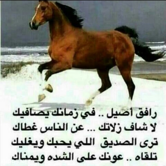 شعر مدح الصديق