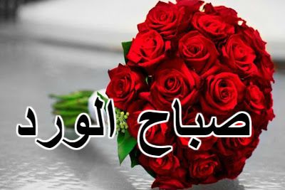 صور ورد صباح الخير - تعرف علي اجدد خلفيات الورود الصباحيه 2020 2163 1