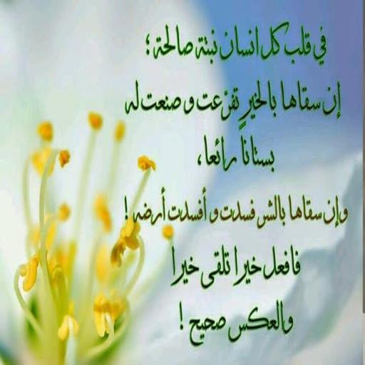 هل تعلم عن الصلاة 3536 8