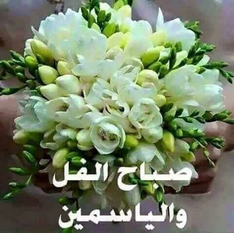 صور صباح الفل 1729 4