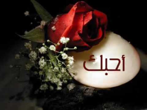 صور حلوه وجميله 1822 9