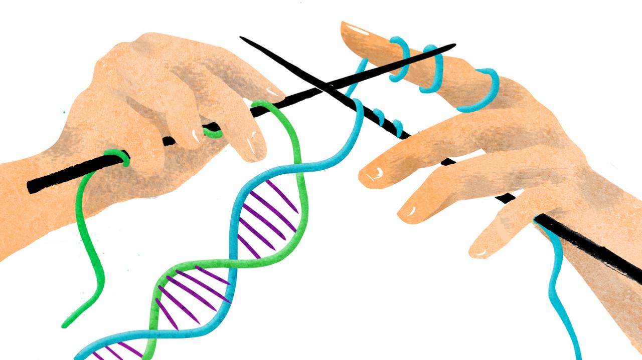 كم من الوقت يستغرق تحليل Dna- عمل تحليل Dna في اسرع وقت 6083 1-Jpeg