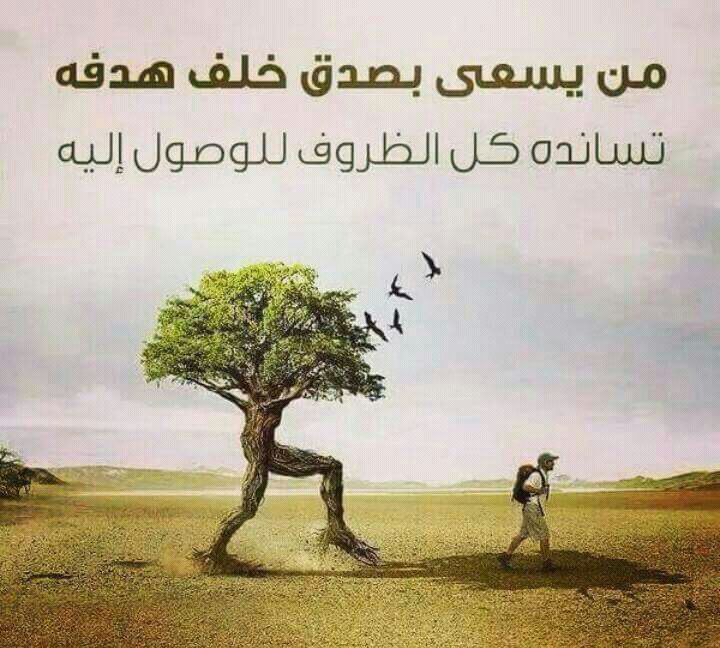 صور حكمة 733 4