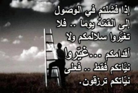 صور حكم - حكم ومعلومات مهمه عليك معرفتها 2594 3