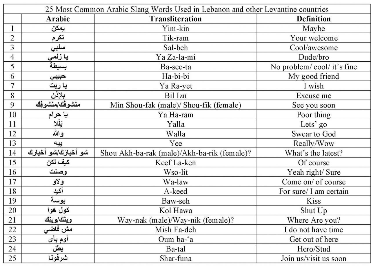 اجمل الكلمات التي قيلت عن اللغه العربيه , كلمات عربية