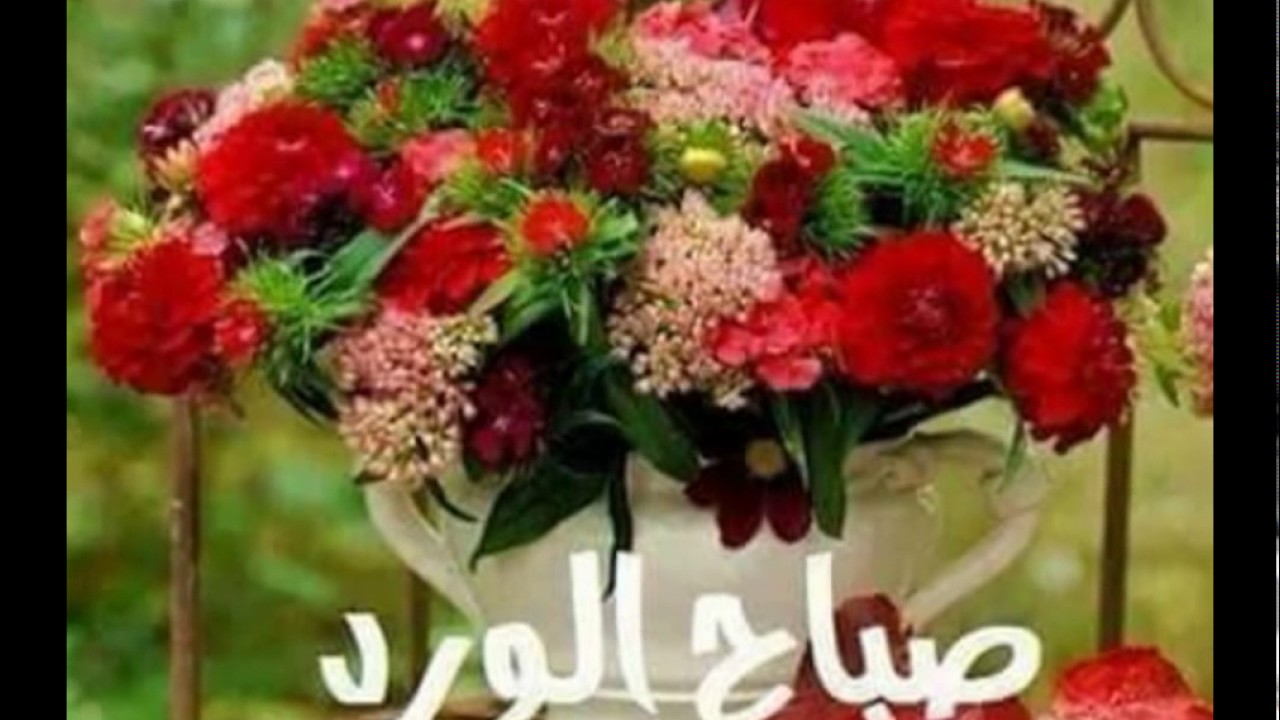 صور صباح الخير ومساء الخير- احلى الصور الصباحية والمسائية 2542 2