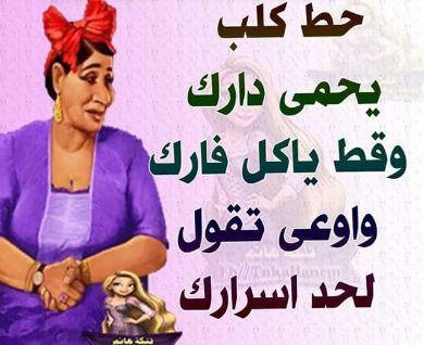 6950 1 امثال عربية مضحكة - تعلم الضحك مع الامثال العربية فراشة الحديقة