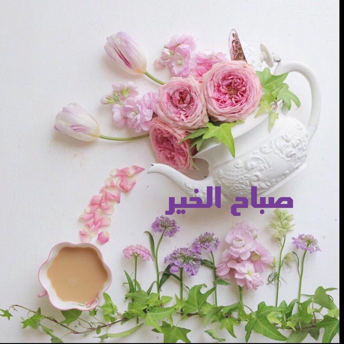 2831 2 اجمل العبارات التي تقال في الصباح ،صباح الورد والفل البارع اسلام